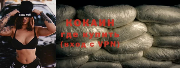 apvp Вяземский