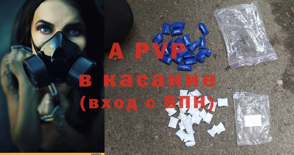 apvp Вяземский