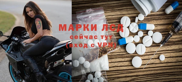 apvp Вяземский