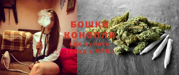 apvp Вяземский
