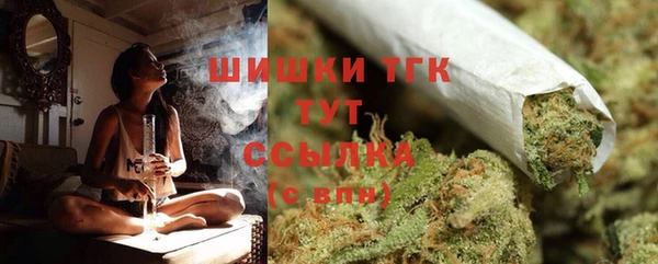 ешки Вязьма